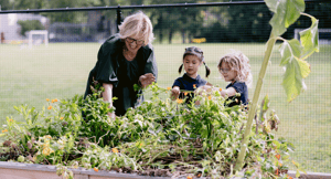Whitby School Community Garden